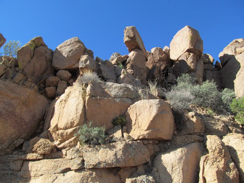 Sierra Ancha Rocks