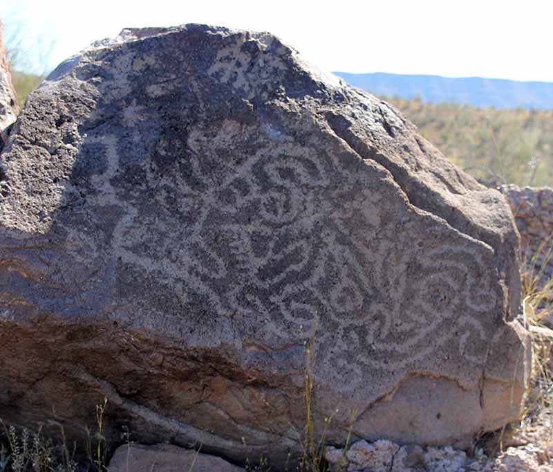 Hohokam petroglyphs
